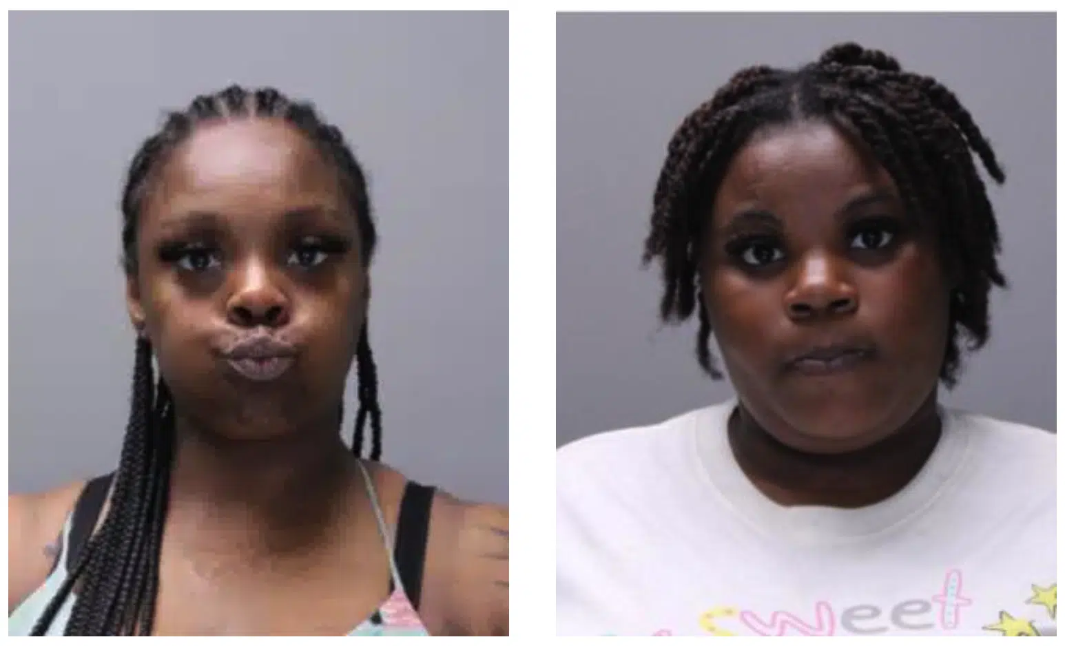 Mother and daughter arrested in ,000 retail theft investigation
